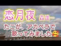 【恋月夜】森進一さんの歌をアカペラで歌ってみました🥰
