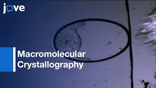 Harvesting/Cryo-Cooling Crystals: Membrane Proteins: Structure Determination l Protocol Preview