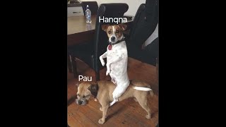 the best bot raid discord 2025