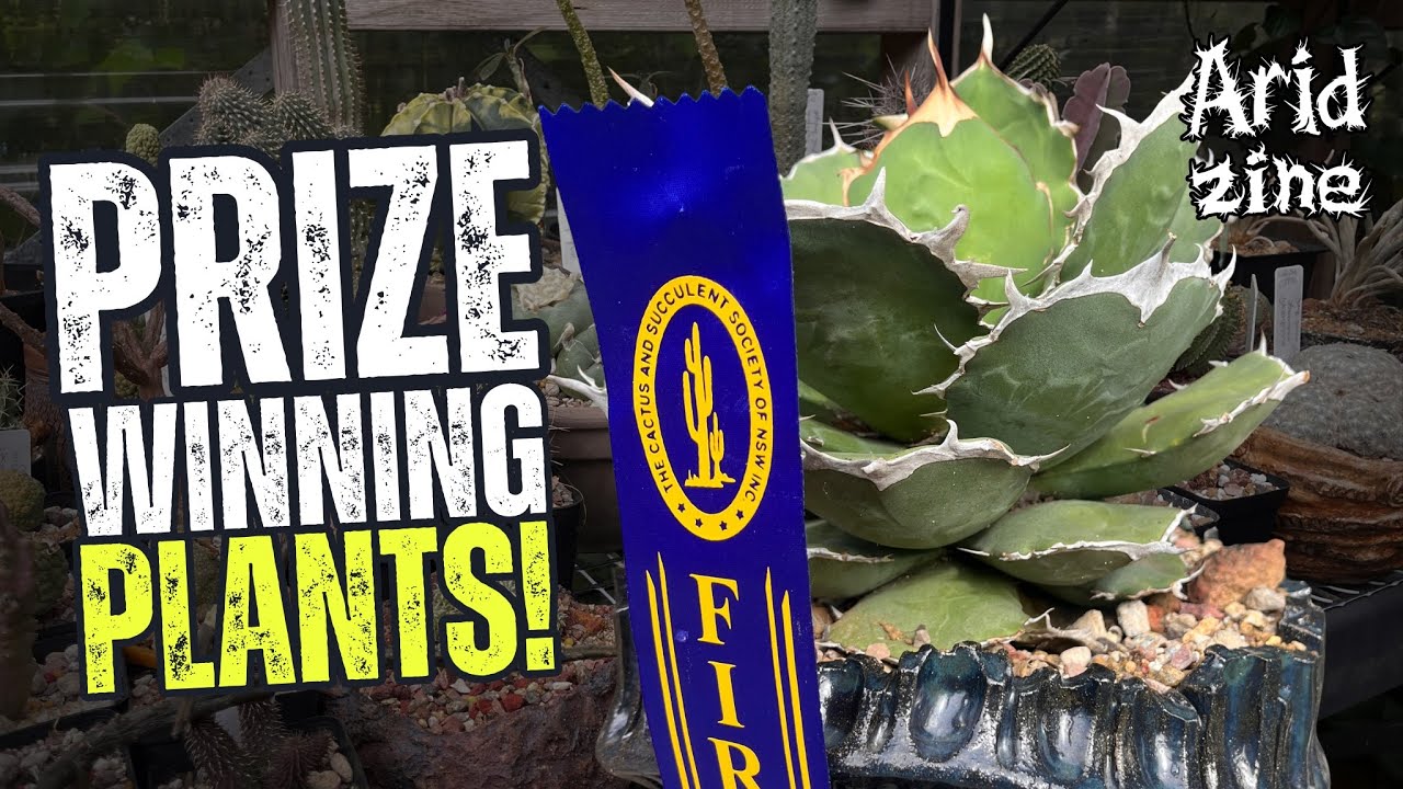 Every Plant I Entered in the Big Cactus Competition