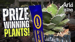 Every Plant I Entered in the Big Cactus Competition