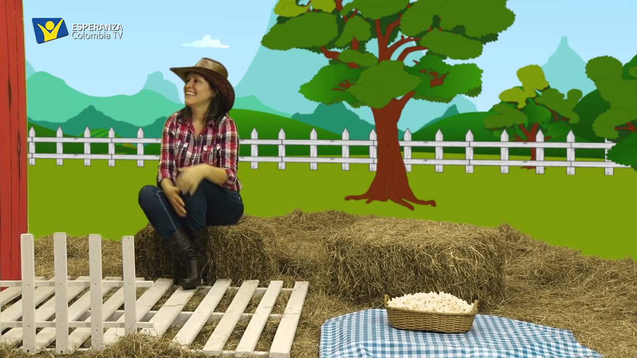 Dias De Gallos Capítulo 1 Online