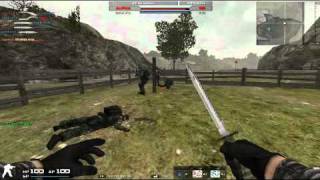 Combat Arms Hacker Bust
