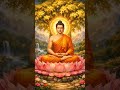 Suman Buddhist 🙏🙏👍👍 #motivation #vairalshort #trending #vairalvideo 🙏🙏🌹🌹💐💐👍👍👌👌💯💯
