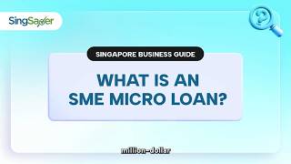 What Is an SME Micro Loan in Singapore? (Small Business Guide 2025)