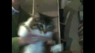 Capture 20121007 1