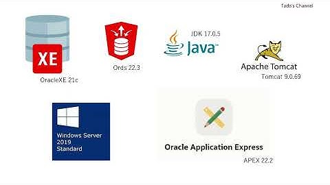 Oracle 21c XE , apex 22.2 ,ords 22.3 ,Tomcat 9.0.69