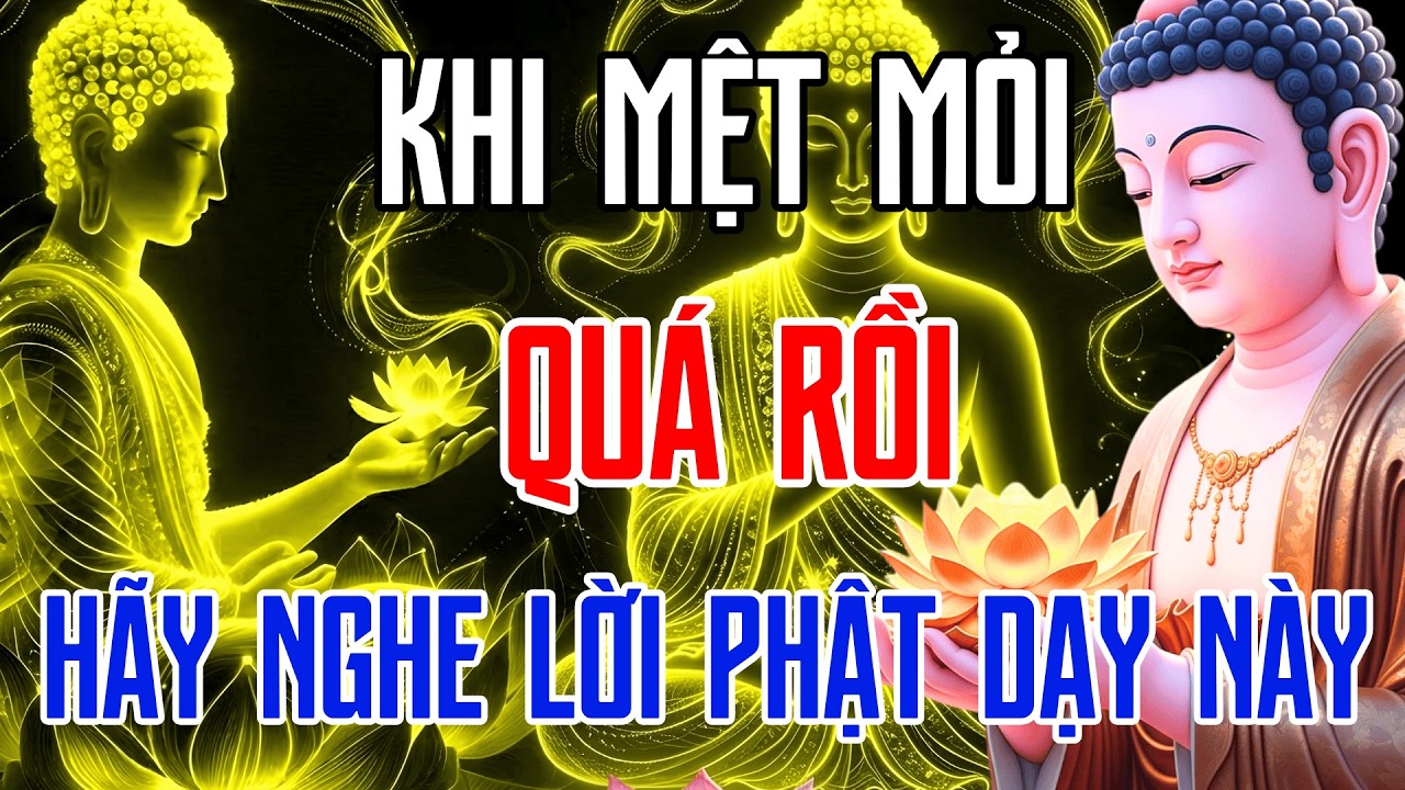 Lời Phật Dạy Nghe Mỗi Tối Trước Khi Đi Ngủ - Giải Nghiệp, Nhẹ Lòng, Ngủ Ngon Sâu Giấc