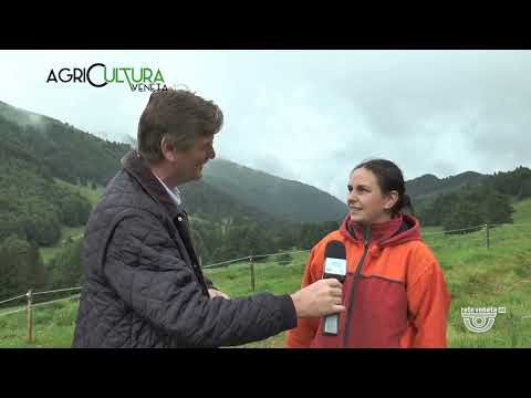 AGRICULTURA VENETA | 10/06/2023