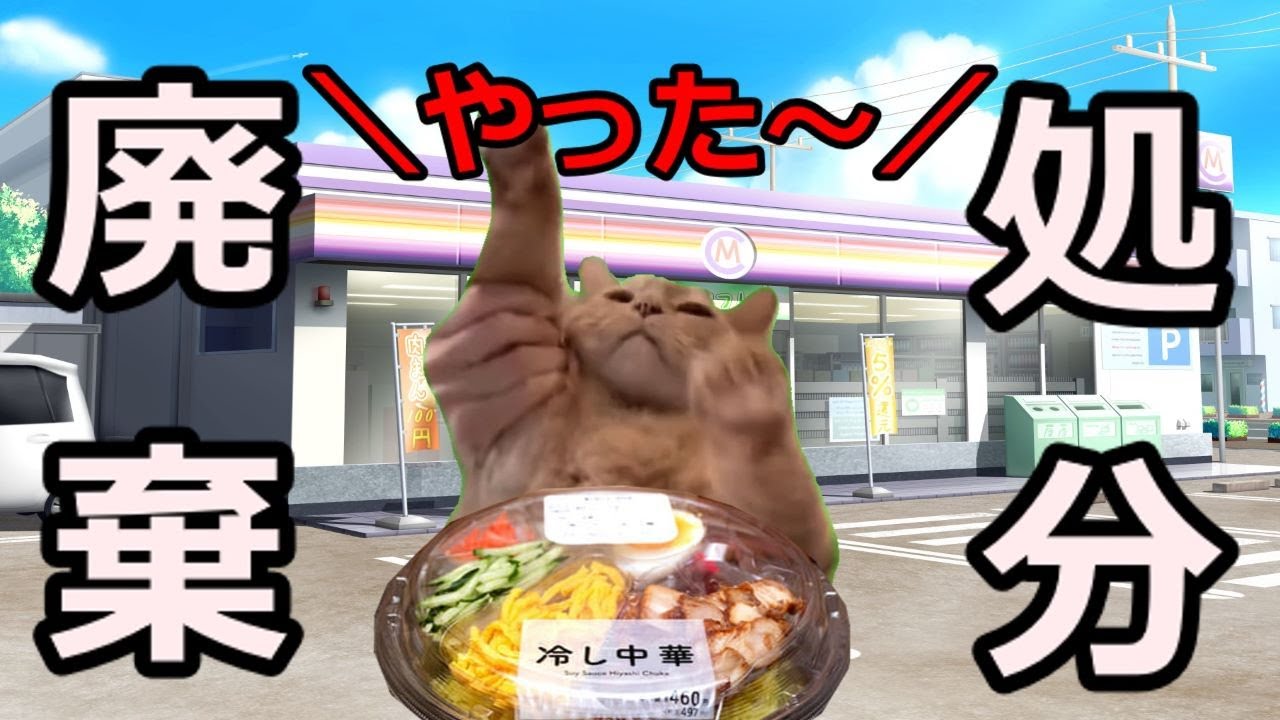 【猫ミーム】深夜コンビニの闇パート9外伝