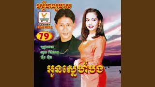 Vignette de la vidéo "ណូយ វ៉ាន់ណេត - សួនស្នេហ៍"