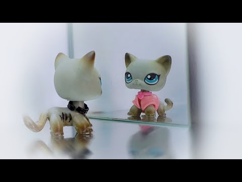 Littlest Pet Shop : Die(t) [Episode #13 : Alice] - (Finale Part 1/2)