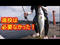 青物の回遊ルートを考察。ライトショアジギング!ジギングフルモン224