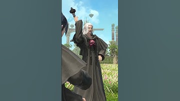 Emet-Selch is not amused #ff14 #ff14memes #justazemthings #azem #ffxiv #meme #emetselch #ffxivmemes