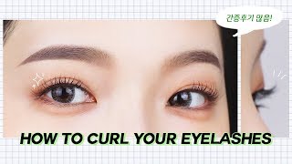 ENG) 신세계! 후기 폭발★속눈썹 완벽하게 뷰러하는 방법! Half tutorial | 코코초