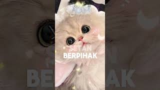 Sore Para Fans Alishacat