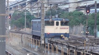 EF65 2097号機 A101 75列車 根岸への送り込みから付け替えと走行シーン 2026 2.5