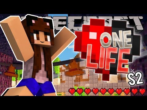 games people play Cutest Fairy Lights Ever | Minecraft One Life SMP | Episode 23