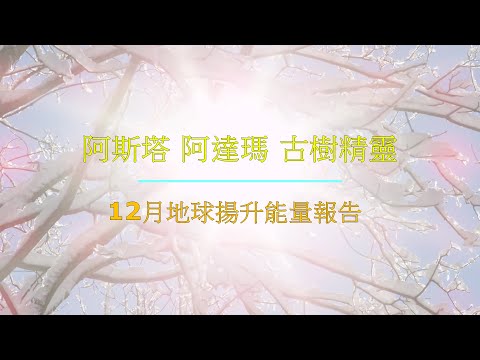*MC257 阿斯塔 阿達瑪 古樹精靈 12月地球揚升能量報告