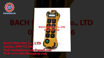 Tay bấm điều khiển từ xa cho Palang cầu trục, tay bấm điều khiển 4 nút, 6 nút, 8 nút, 10 nút