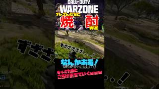 CoD WZでフレさんたちとアヴァロンを転げ落ちていくBotとそれを追うだけの動画