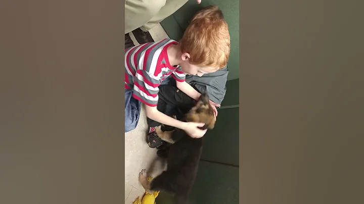 Sadie meeting her big brothers for the first time
