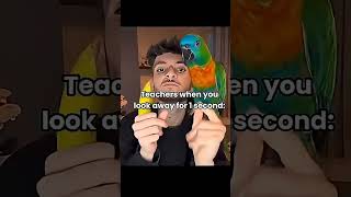 Teachers when you look away for 1 second #memes #banana#dolphin #brookhaven