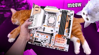 We're building the Ultimate CAT PC