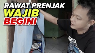 INI WAJIB ‼️ Jika ingin prenjak bahan cepat bunyi dan gacor