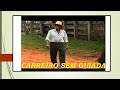 CARREIRO SEM GUIADA****OS DOIS MINEIROS-Compositores-Almezino/Toni Gomide