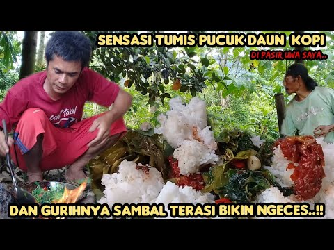 Tumis Daun Kopi