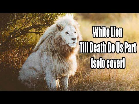 white lion till death do us part instrumental