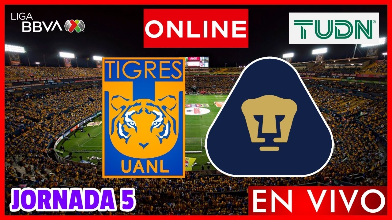 Tigres vs Pumas EN VIVO | Jornada 5 Liga MX Clausura 2024 | NARRACION ...