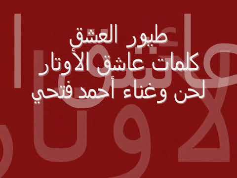 أحمد فتحى -... . طيور العشق