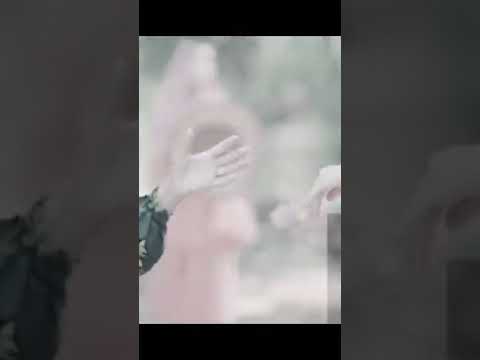 مروحتش الغيط ده البامية شوكتني