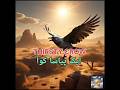 The Thirsty Crow | ایک پیاسا کوا