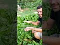 orto di inizio settembre