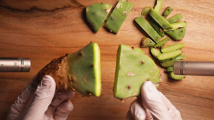 ASMR The Most Satisfying Cactus Triggers 🌵