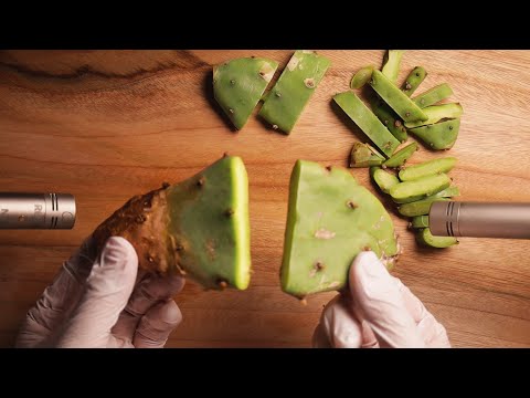 ASMR Cactus Sounds 🌵 (No Talking)