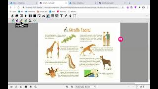 Read and Write PDF Toolbar