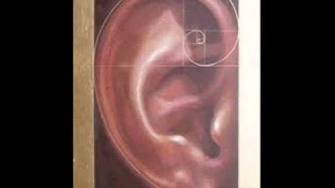 Solid Eye - No Shit Like This - XR20 & MicroKorg With Me on the Vocals