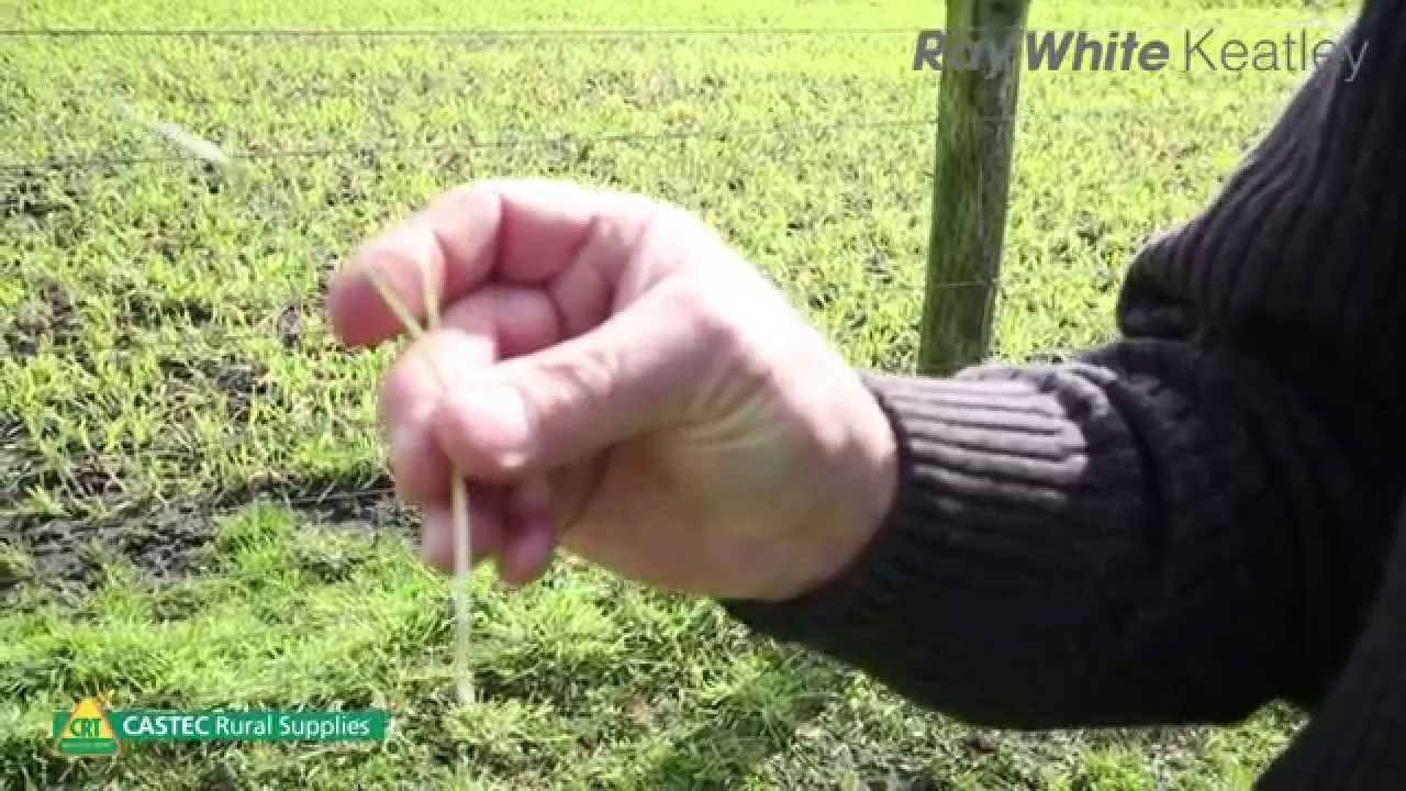 How to Renovate Your Pasture in the South East