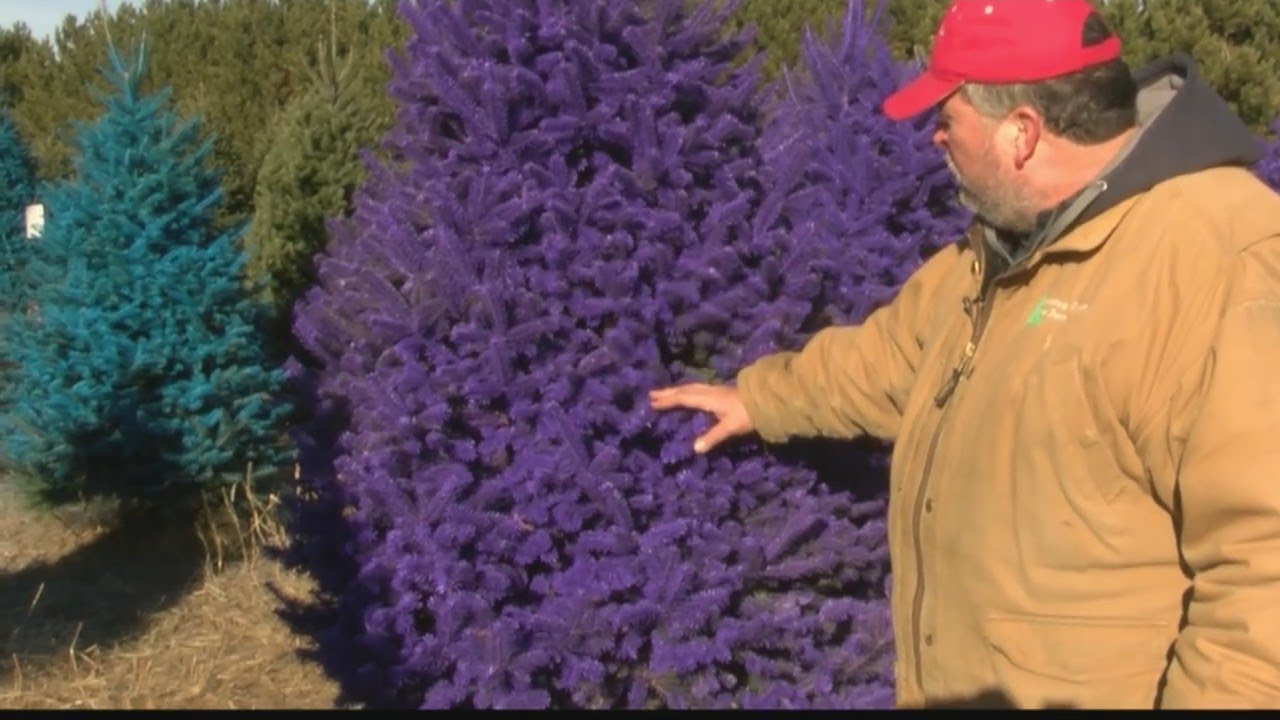 Christmas Tree Farm - YouTube