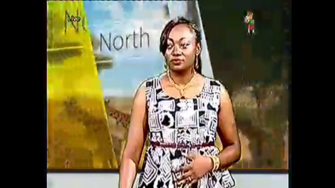 Charles Ebunle highlights Anglophone problem on CRTV