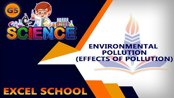 Class 5 | Science | Chapter 3 | Environment and types of pollution | By Excel School