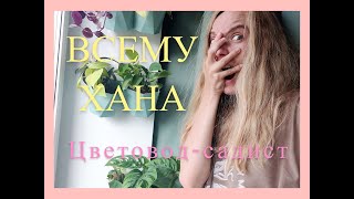 ЦВЕТОЧНЫЙ ВЛОГ| ЧЕРЕНКУЮ | ГНИЮТ КЛУБНИ: КАЛАДИУМ, КАЛЛЫ | СРЕЗАЮ ТРАДЕСКАНЦИЮ | ГОРЯТ ЛИСТЬЯ