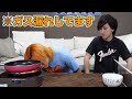 【ガチ身の危険】放送事故集【東海オンエア】
