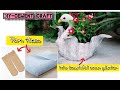 DIY | Swan Planter | Cement Craft | Planter ideas | How to make planter at home | Garden decor