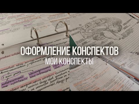 Как я веду конспекты || Оформление конспектов || Мои конспекты