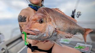Catching Snapper on soft plastics (lures) screenshot 1